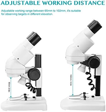 XDCHLK 2 0X / 40x Sztereó Mikroszkóp 45 ° Tiltted Szemlencse a Szemkagyló Felső LED Vision PCB Saler Mobil Eszköz Javítása