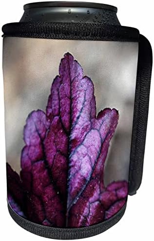 3dRose Egy makró fénykép egy Korall Harangok Dolce Wildberry. - Lehet Hűvösebb Üveg Wrap (cc_350905_1)