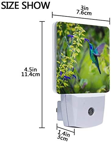 Naanle Készlet 2 Gyönyörű Zöld Lila Fül Kolibri Etetés Virág Virág Homályos, Zöld, Woodland Automatikus Érzékelő LED Alkonyat