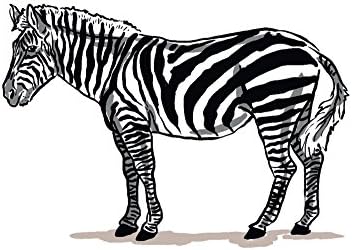 Lámpás Nyomja Meg A Zebra, Ikon ( Pamut Vászon Újrafelhasználható Táska)