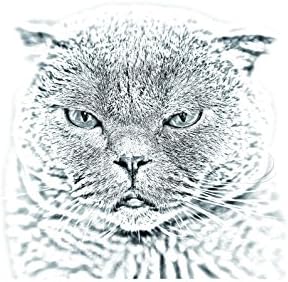 Művészeti Kutya Kft. Skót lógófülű, Ovális alakú Sírkő a Kerámia egy Kép egy macska