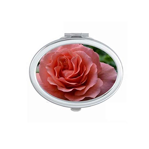 Zöld Levelek Rózsaszín Rózsa, Art Deco Ajándék Divat Tükör Hordozható Fold Kezét Smink Dupla Oldalon Szemüveg